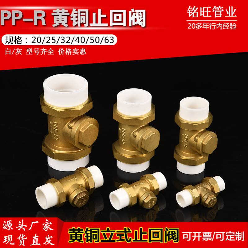 PPR水管止回阀PE双活接单向阀自来水管水表逆止阀铜卧式立式20-63
