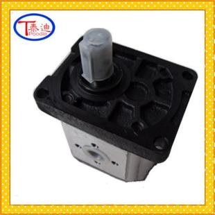 小排量齿轮泵 微型齿轮泵 现货供应CBN G304高压齿轮泵