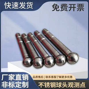 不锈钢导线点球头导线桩大桥墩身沉降观测点十字测钉水准测量标志