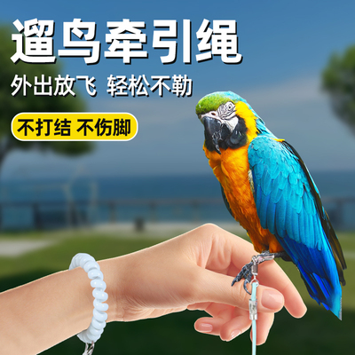 鹦鹉专用牵引绳不伤脚外出训练