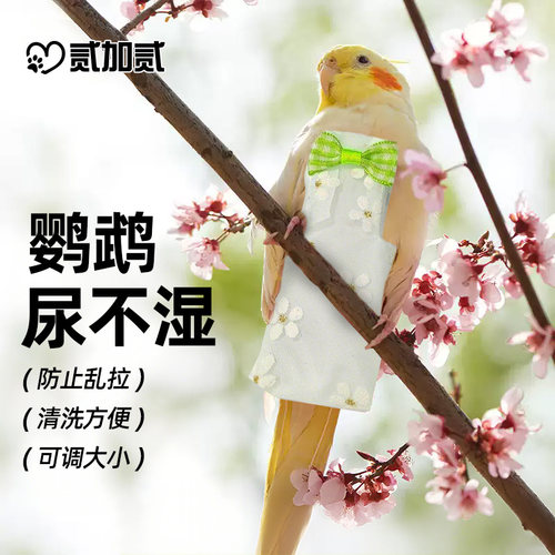 宠物鹦鹉专用尿不湿飞行服