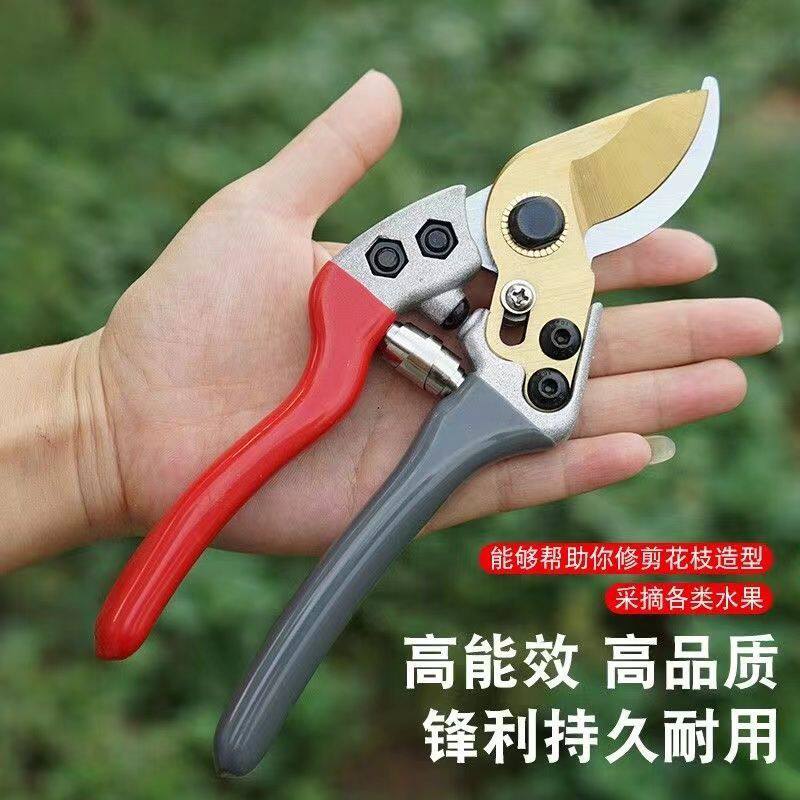 果树修枝剪刀粗枝省力花艺剪园林园艺花卉修枝剪刀进口树枝修剪器