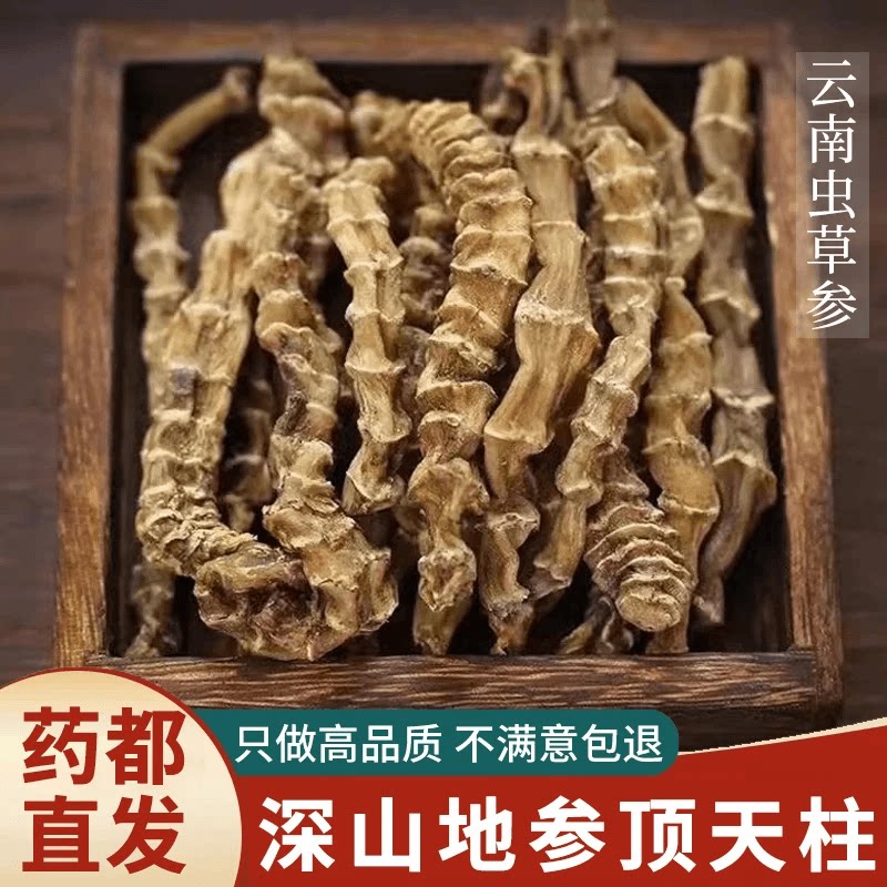 【保真]云南深山虫草参干货正宗地参顶天柱新货装煲汤泡酒原材料
