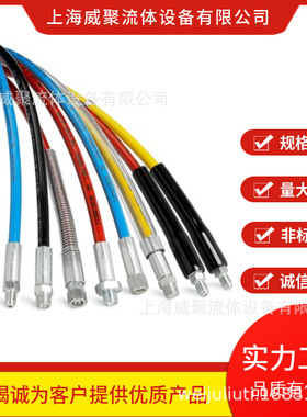 瑞典CEJN希恩高压软管，油管19 951 2501 2工作压力250MPA2500BAR