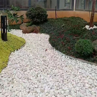 白色碎石砾石园林庭院家装铺面景观美化造景白石子洗米石