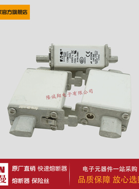 熔断器170M0261 170M0262 170M0263 170M0264 170M0265 170M0266