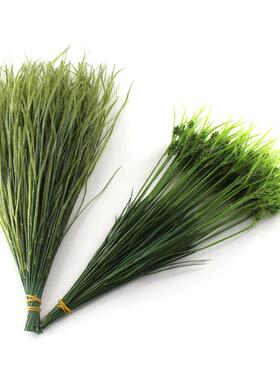 真绿植树草叶水三棱物草叶002绿色带花草景仿观博馆工程用材厂家