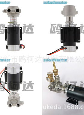 NUERT纳特PRG10AS-DC48V1000W永磁无刷直流旋转叶片泵