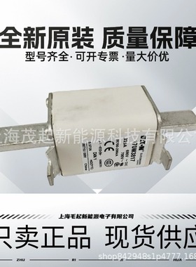 170M3815 170M3817 170M3810D 170M3812D 170M5806 巴斯曼熔断器