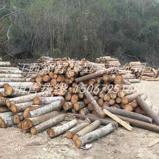 渔漂材料模型飞机轻木 巴杉木建筑模型材料 AAA级轻木balsa wood