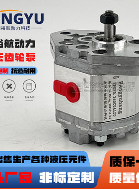 Hengyuhang齿轮泵1PUF0.26DC0A1Z0平替MARZOCCHI马祖奇0.25D 0.5D