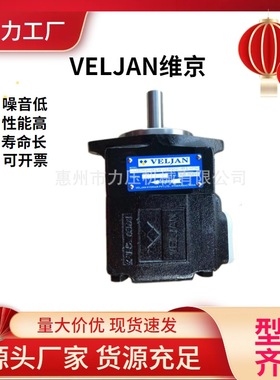 VELJAN维京叶片泵VT6CCW-B28-B10-1L23-D1-11垃圾环保车油泵