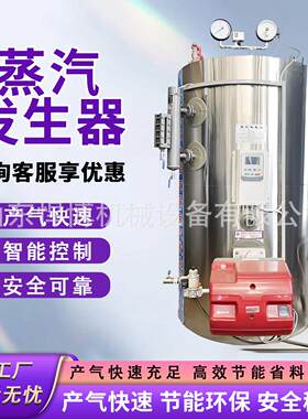 蒸炉汽加锅炉食品工蒸汽锅全自动电锅汽BFH炉天然气锅电加热蒸锅