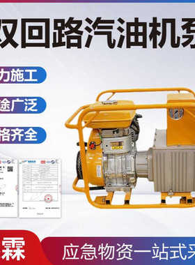 高低压双速汽油机液压泵HPE-700双回路汽油机泵自动切换油压泵