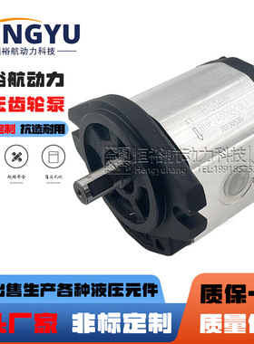 博顿液压泵Boden齿轮泵BKP0.5 BKP1 BAP1B0 BHP2 BAP2 BAP1A0油泵