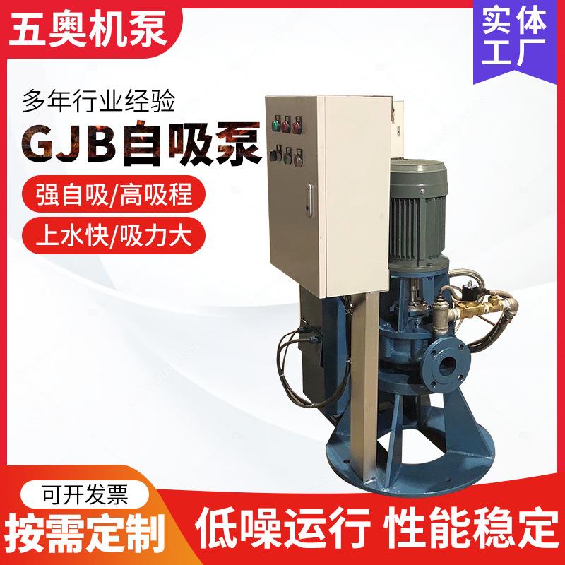 厂家供应智能自吸泵装置钢厂电厂大流量高吸程瞬间出液