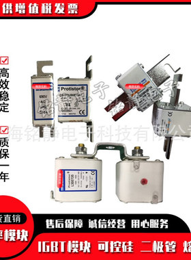 熔断器 保险丝PC31UD69V500A D300015