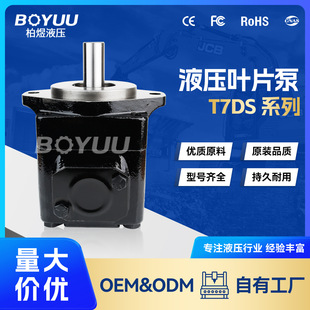 2L00 M0叶片泵 用于船舶制造 厂家直销 T7DS 水利发电 B31