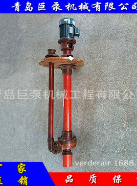 玻璃钢液下泵 40FSY-20耐腐蚀液下泵管长2米 厂家供应