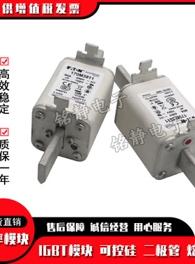 170M3243 170M3244 170M3245 170M3246 170M3247熔断器170M3248