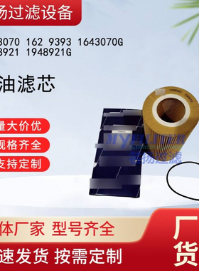 1643070 162 9393 1643070G 1948921 1948921G机油滤清器滤芯