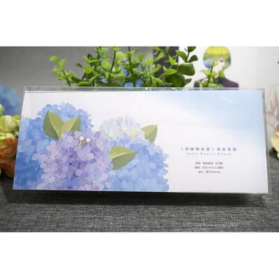 小绿和小蓝周边 无尽夏果冻笔袋 笔盒文具 作者寄卖/笛子Ocarina