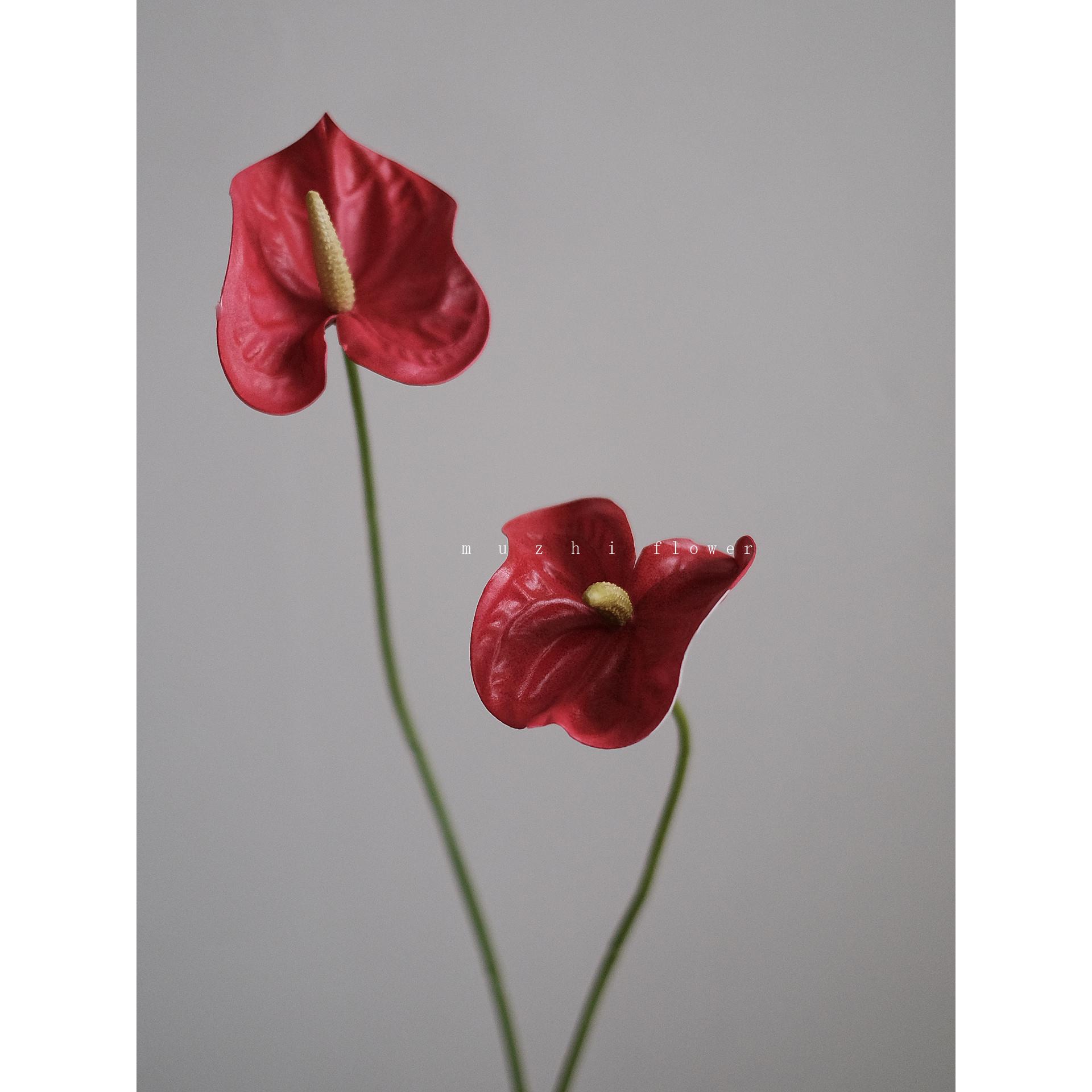 muzhi轻奢高端红色红掌仿真花束火鹤花客厅装饰花艺插花家居摆件