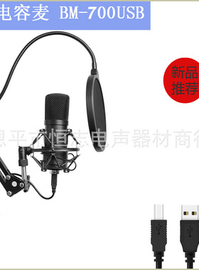 192KHz 24Bit高采样率电脑USB麦克风bm700麦克风套装话筒BM-800