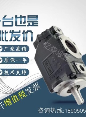 印度VELJAN维京油泵VT6DC-045-025/028/045-1R00B1 VT6DC-038-028