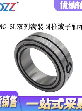 双列满装圆柱滚子轴承 SL02 4856 机械轴承 重载低速轴承