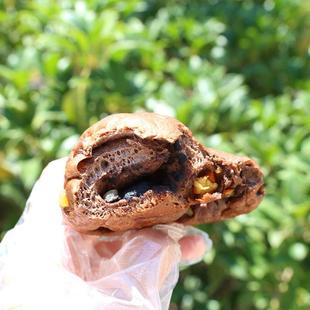 洋葱酵液香橙酵液黑巧全麦酵液贝果红葱早餐代餐海街茶点