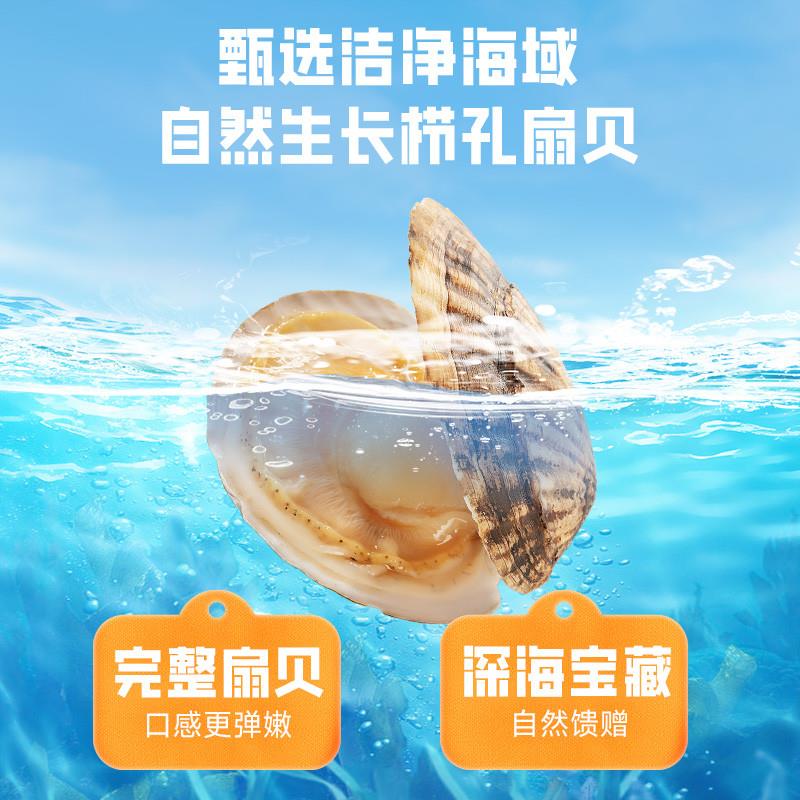 正宗_香烤扇贝解馋海鲜熟