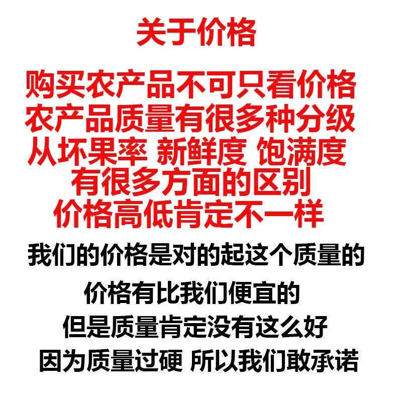 正宗新正宗东北四粒红红皮带壳生花生农家自产红皮花生米原味炒熟