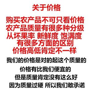 正宗新正宗东北四粒红红皮带壳生花生农家自产红皮花生米原味炒熟