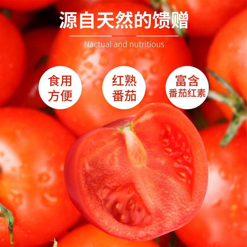 正宗儿童番茄酱10g*10包薯