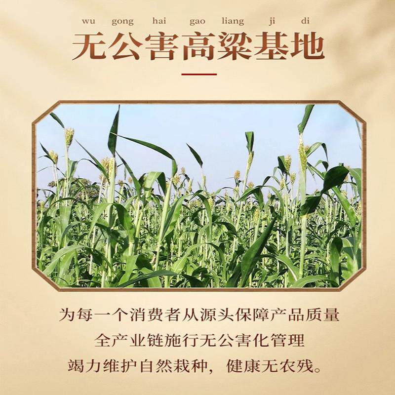 正宗山西正宗4度陈醋420ml