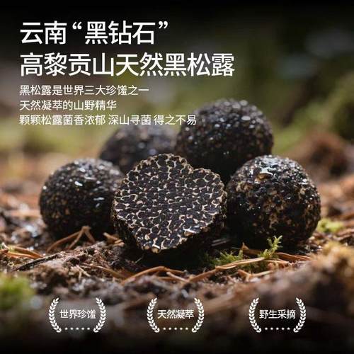 正宗黑松露蘑菇酱意面披萨