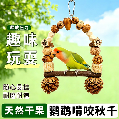 鹦鹉天然实木秋千玩具