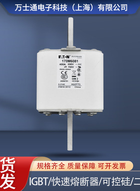 巴斯曼170M6080170M6081170M6082170M6083170M6084608560866087