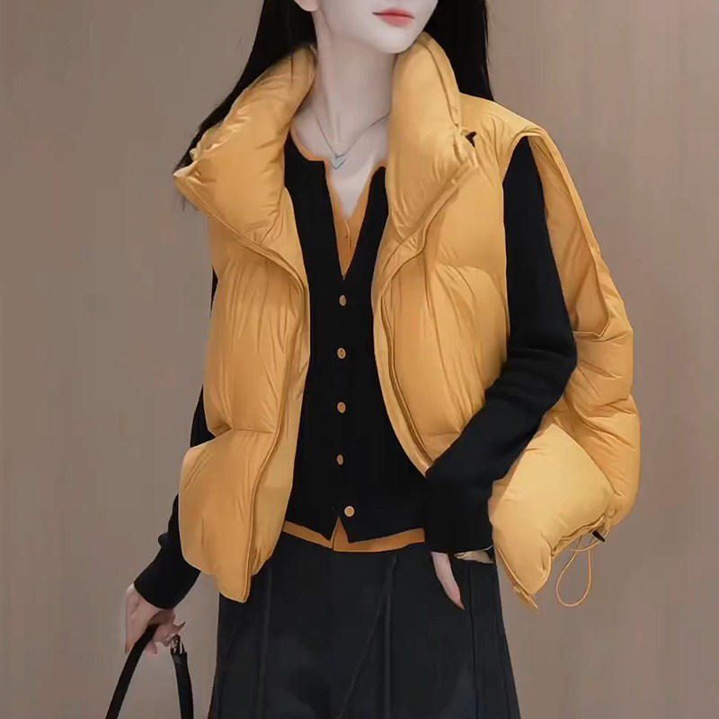 韩版时尚高级感纯色加厚棉服女冬季2025新款巨好看休闲无袖棉马甲