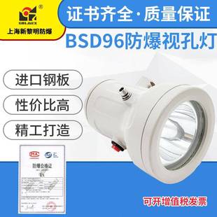 BSD96 化学反应容器釜照明灯 L3W防爆视孔灯LED防爆视镜灯