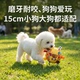 狗狗玩具球小狗磨牙啃咬发声磨牙球小型犬专用训练球自嗨解闷用品