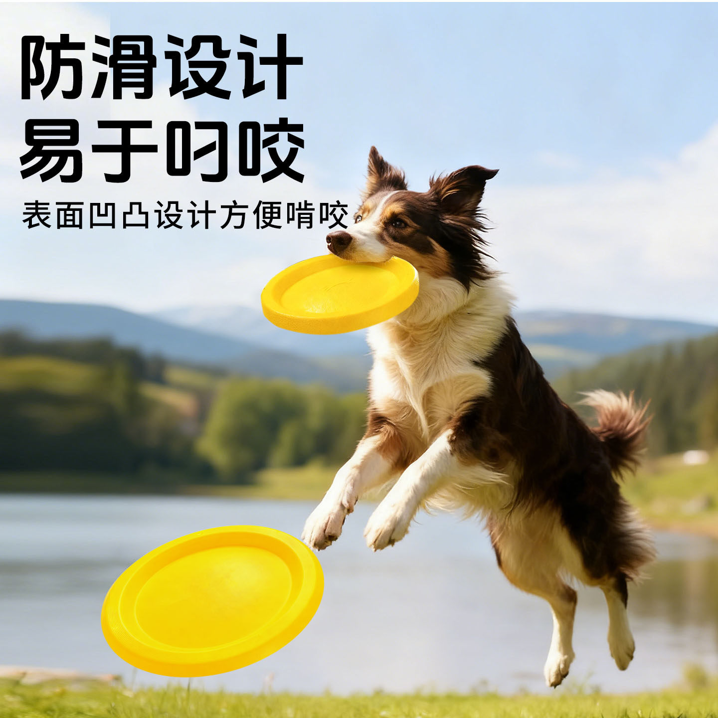 狗狗巡回玩具磨牙耐啃咬训狗飞盘图片