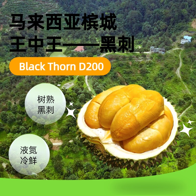 【黑刺】马来西亚D20026年新果黑刺榴莲原果进口液氮槟城20年树龄