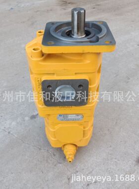 柳工装载机配套双联齿轮泵   11C2115