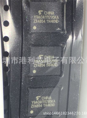 TY9A0A111295KA 全新BGA贴片 公司现货 支持终端工厂配单