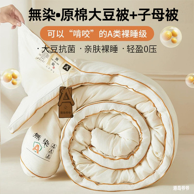 安雅力大豆被学生宿舍冬被全棉a