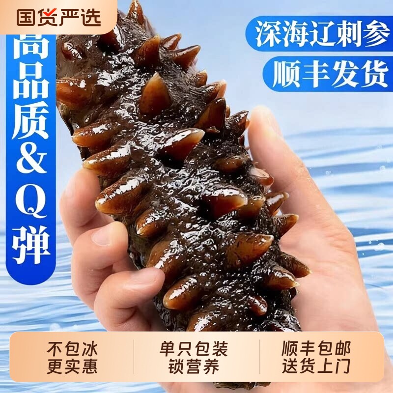 大连即食海参鲜活辽刺参加工鲜食500g独立真空包装顺丰包邮图片