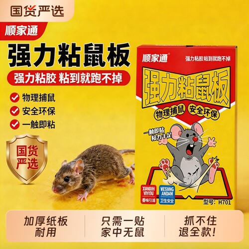 老鼠粘老鼠贴强力粘鼠板