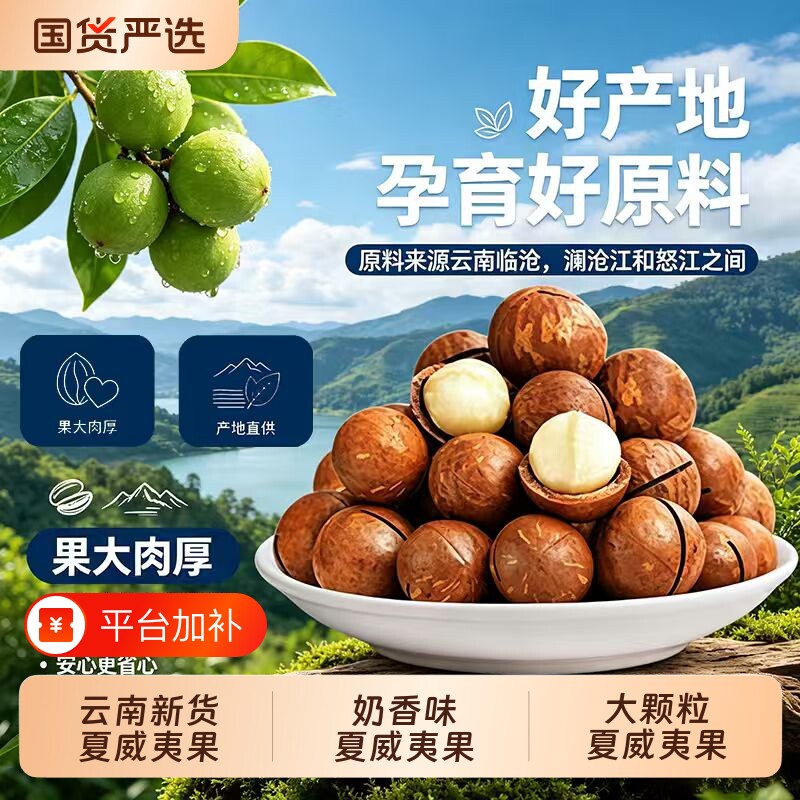 新货夏威夷果502g奶油味孕妇坚果云南特产原味干果年货零食批发价
